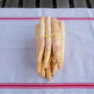 Asperges Blanches pleine terre du Vexin